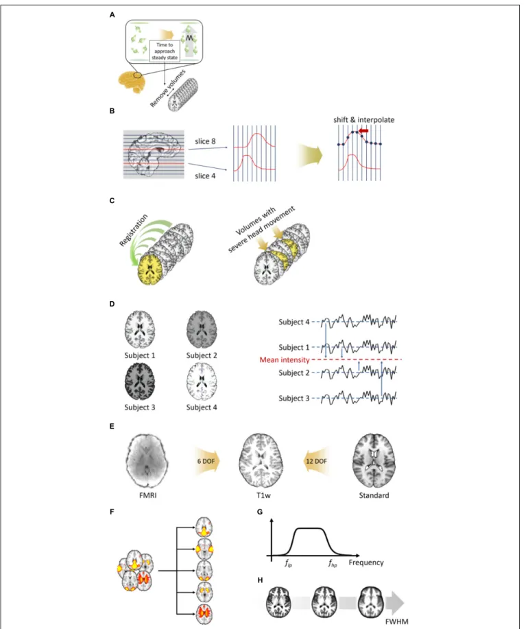 FIGURE 3 | Preprocessing steps for volume-based fMRI data. (A) Removal of the first few volumes