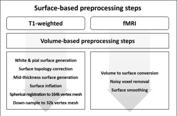 FIGURE 4 | Diagram of the preprocessing steps for surface-based (A) T1-weighted structural MRI and (B) fMRI data.