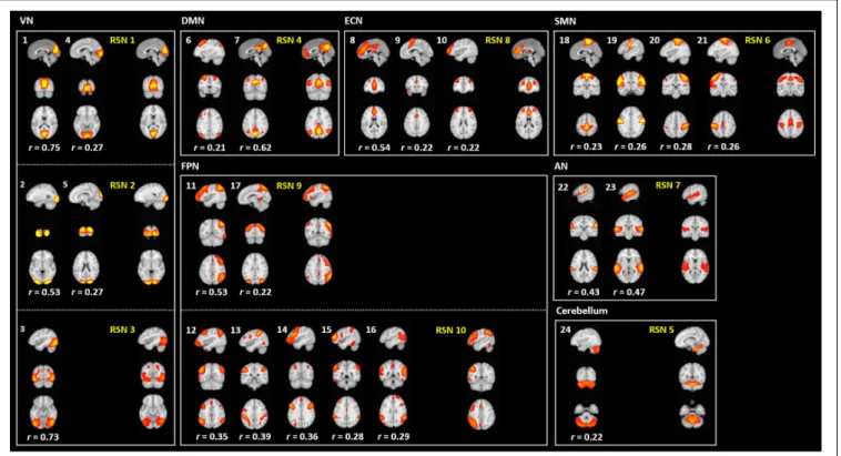 FIGURE 6 | Generated VICs using the HCP data (labeled in a white font) along with pre-defined RSNs (labeled in a yellow font) (Smith et al., 2009)