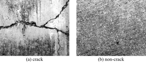 Fig. 1. Sample images of the concrete paving inspection.  