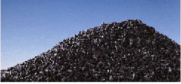 Figure 2.6 shows a view of a packed bed activated carbon while Figure 2.7 