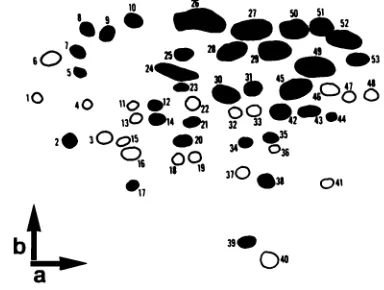 TABLE 3. Distribution of variant oligonucleotides