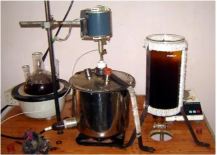 Figure 1Photographic view of Biodiesel preparation plant  (transesterification process) 