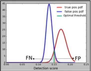 Figure 3.5: Detection scores of positive (blue) and negative (red) detection scores modelled by the gamma distribution
