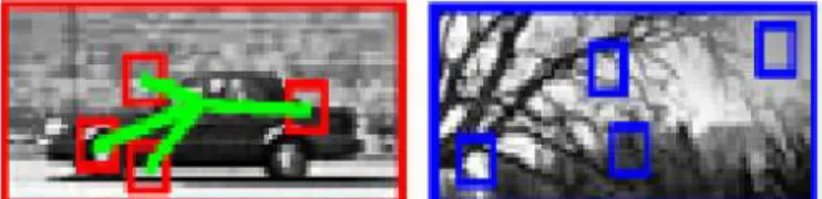 Figure 4.1: Positive patches extracted from inside bounding box and negative patches extracted the from the background.
