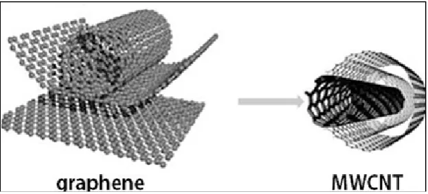 Figure 2.6: Formation of MWCNT from Graphene (Visu et al., 2014). 