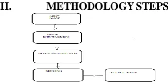 Figure 1: Steps involve in the detection process.  