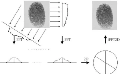 Figure 1 - Illustration of Radon transform. 