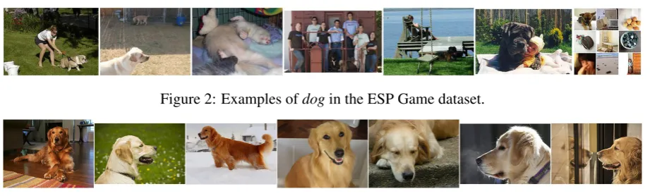 Figure 2: Examples of dog in the ESP Game dataset.