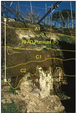 Figure 2. Outcrop of the stratigraphic sequence of the northern slope of Lattari Mts. 