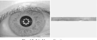 Fig. 13. Iris Normalization Iris Feature Extraction and matching 