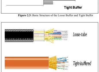 Figure 2.4: Loose Buffer Cable and Tight Buffer Cable 