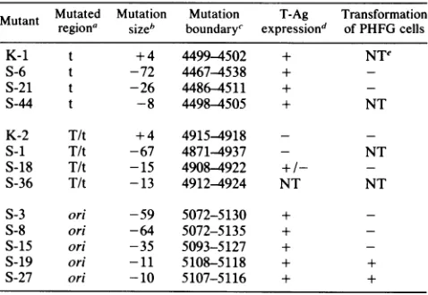 FIG.1.pMITC(ABam)(Madi)deleted,JCVbetweenmapthoughtlateoccurstheorigininto5,130quences,bothsequences.sitePlasmid PMITC(ABam) used to construct JCV mutants.containstheentiregenomeofprototypeJCV inserted into the EcoRIsite of pBR322