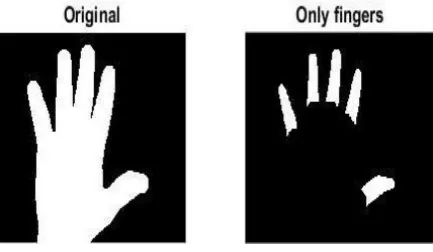 Fig 5.  Processed binary image 