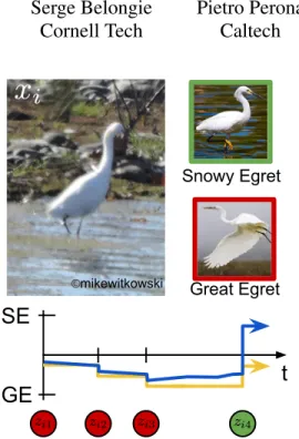 Figure 1: iNaturalist Community Identification. A user uploads im- im-age x i (top-left) with an initial species prediction z i1 = Great Egret (GE), one out of 1.5k North American bird species