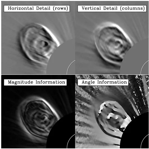 Fig. 3. The vectors plotted represent the magnitude and angle deter-mined from the gradient space of the high-pass ﬁltering at scale 3