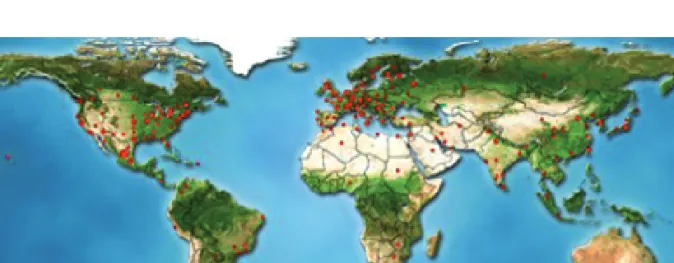 Fig. 1 | Cluster map of the access to the GEANT4 advanced examples pages recorded from 13 June 2009 to 14 Apr 2010 (1531 visits)