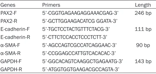 Table 1. Real-time PCR primers