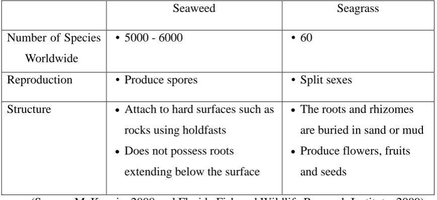 Figure 1.1: Morphological differences between seaweed and seagrass 
