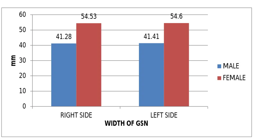 Table No 42. WIDTH OF GSN LEFT SIDE 