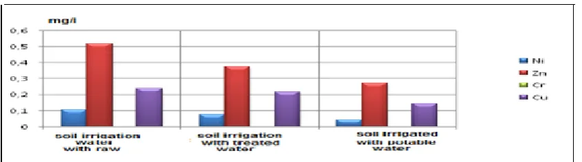 Figure 4: MTE Evolution of in the root part of the plant based on type of water irrigation 