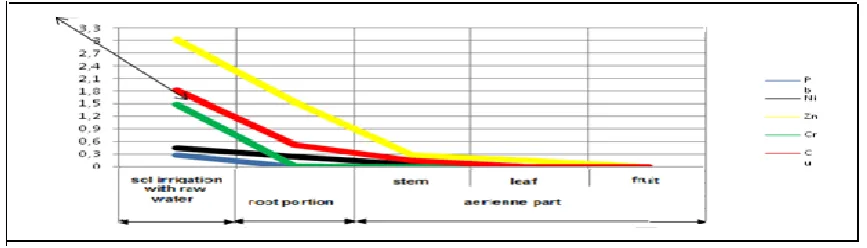 Figure 7: Transfer of MTE in the (waste-water plant-soil) system 