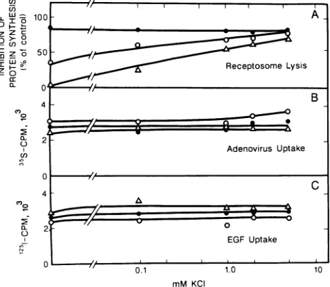 FIG. the symbols*, 0, and A, theglucose,One-day-oldbuffercellspresenceuptake(ii)EGF-PEsynthesis andAd2 were containing with   toxicity uptakeof 50 various Methods.preincubated In ,ug and thenwith 25 1 celldensity   cells.ofof 3 EGF-PE used105 x KBng  mM ce