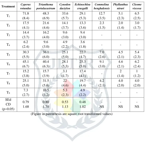 Table 2. Effect of new generation herbicides on Individual weed species (m-2) at 60 DAS 