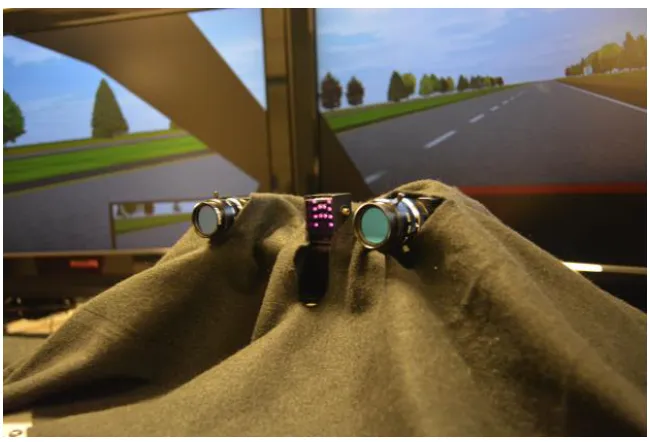 Figure 1: Driving Simulator Setup 