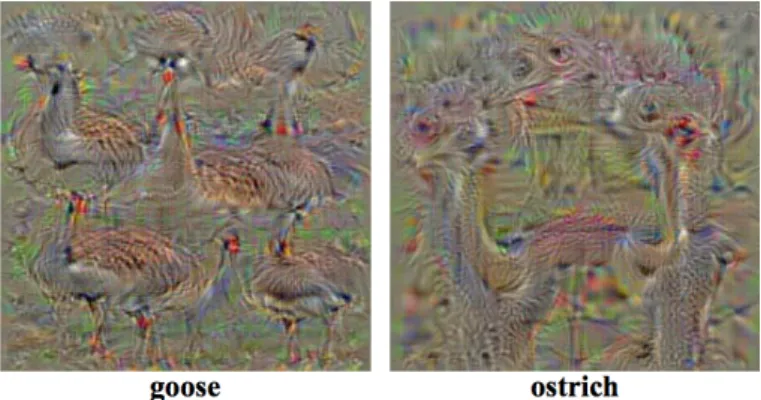 Figure 2.2: Images obtained using the visualization tool of [SVZ13] where the “goose” and