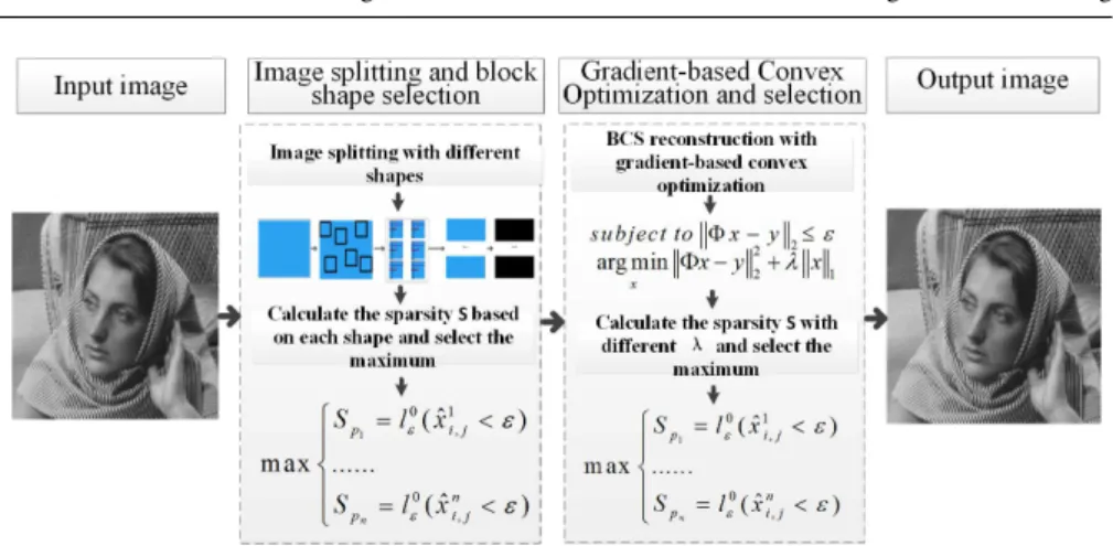 Fig. 1 The flow chart of our AGbBCS SP approach.