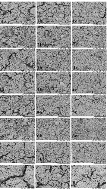 Figure 5  Surface SEM images of developed dual layer hollow fibres at different mol% of LiNO3: (a) 1mol%, (b) 2mol%, (c) 3mol%, at different sintering temperatures: (1) 900°C, (2) 950°C, (3) 1000°C, (4) 1050°C, (5) 1100°C, (6) 1150°C, (7) 1200°C, (8) 1250°C 