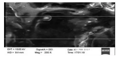Figure 3.1.3. SEM Images of HSS Treated and Untreated End mill 