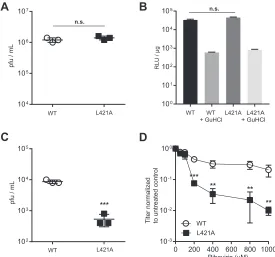 FIG 2 Mutation to the donor RdRp inhibits recombination and increases susceptibility to ribavirin