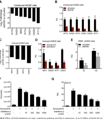 FIG 8 Effect of DHX9 depletion on type I interferon pathway and IFN-� expression. (A to D) Effect of DHX9 KD on