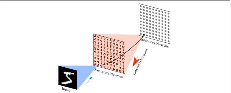 FIGURE 1 | Network architecture. The intensity values of the 28 × 28 pixel MNIST image are converted to Poisson-spike with firing rates proportional to the intensity of the corresponding pixel