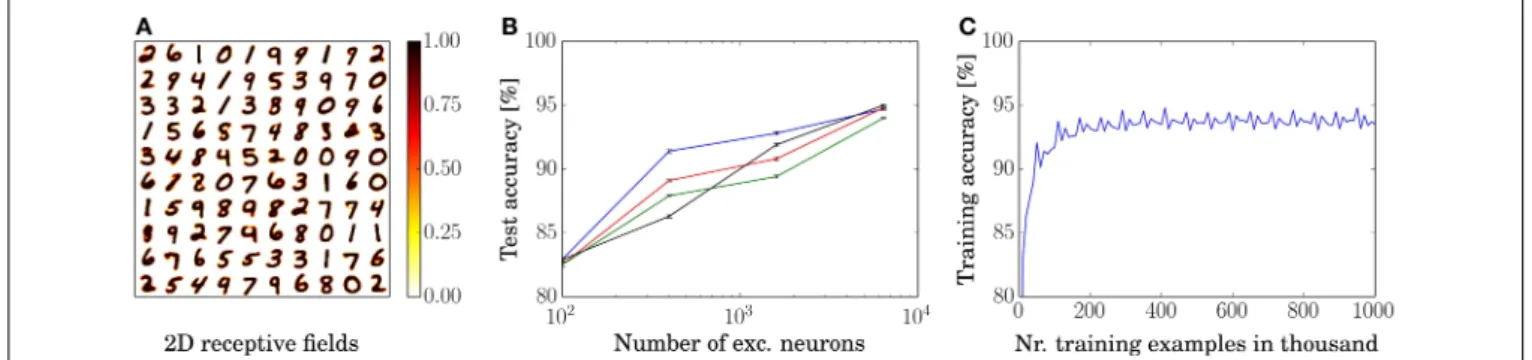 FIGURE 2 | Training results. (A) Rearranged weights (from 784 to 28 × 28) of the connections from input to excitatory neurons of for a network with 100 excitatory neurons in a 10 by 10 grid