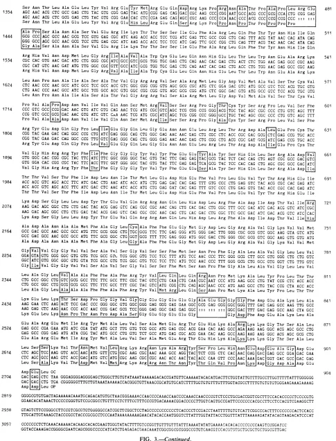 FIG. 3.-Continued.