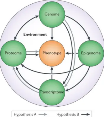 Fig. 1.2 Alternative hypotheses of interactions between molecular layers (from [175])