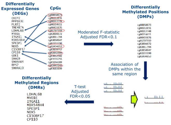 Fig. 2.2 Pipeline used to perform integration of DNA methylation and gene expression for each of the considered contrast