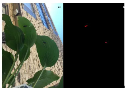 Figure 2 - a) Sample Image Used for Processing b) Image after Processing with Insect Isolated  