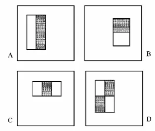 Figure 2.2: Haar-like features detectors  