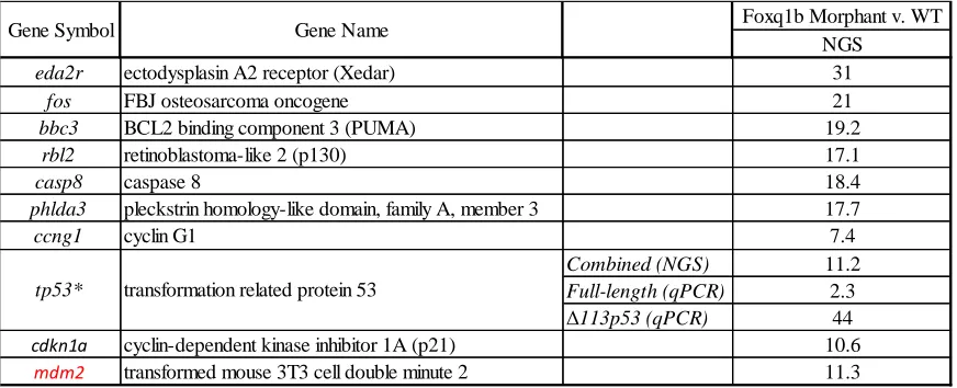 Table 2: Knockdown of foxq1b increases expression of genes involved in the apoptotic pathway