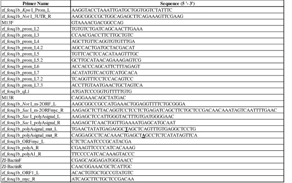 Table 3: Primer names and sequences used to create foxq1b-myc construct. List of all the primer names and sequences that are mentioned in the methods section