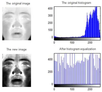 Figure 2-7 the results of the histogram equalization 