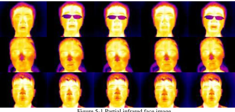 Figure 5-1 Partial infrared face image 