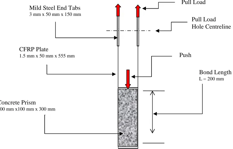 Figure  2: Specimen configuration under study 