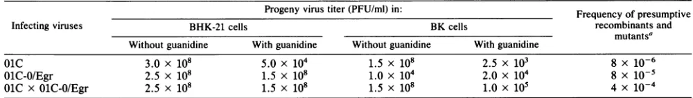 TABLE 1. Plaque assay of the parent strains and the progeny obtained by the yield test of the 01C x 01C-O/Egr cross under restrictiveand nonrestrictive conditions