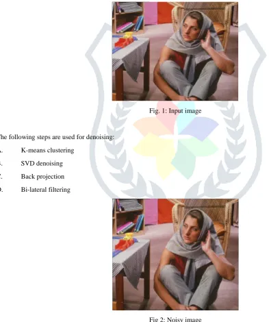 Fig 2: Noisy image 