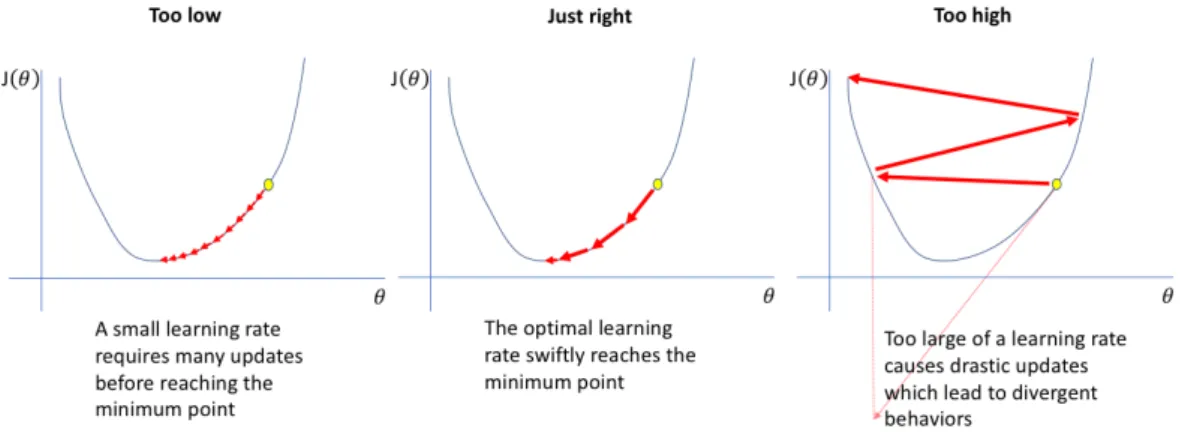 Figure 2.4: Eﬀects of the learning rate on the minimiza on of the loss.